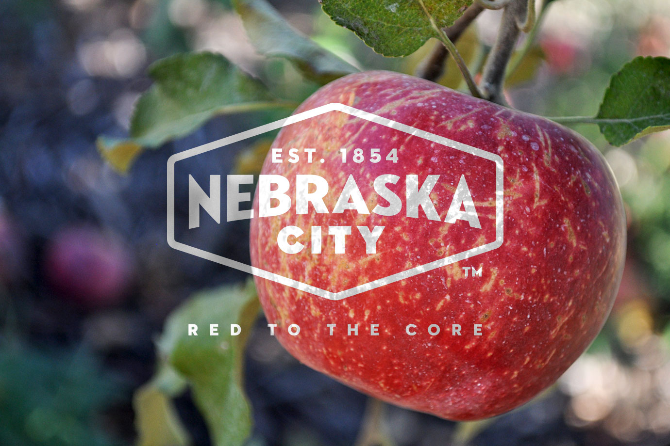 Region V Services – Nebraska City
