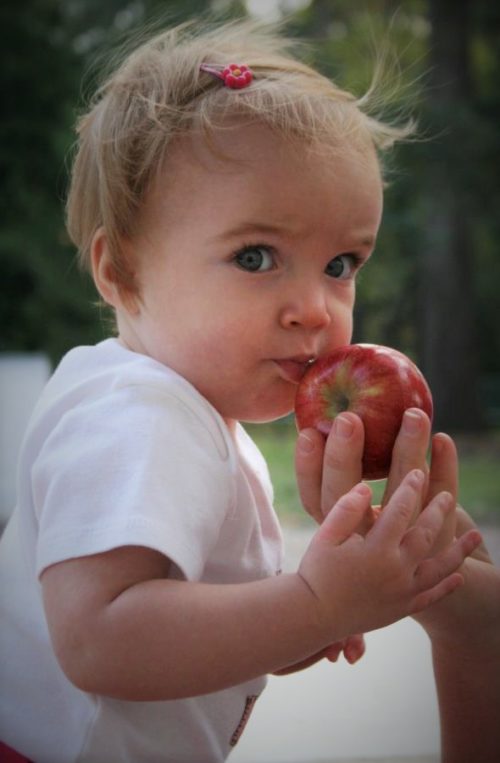 nebraska city applejack festival 2017