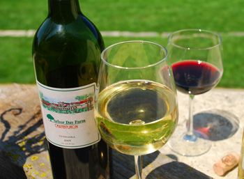 Arbor Day Farm wine