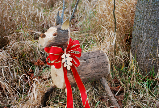 Holiday Twinkle Trails at Arbor Day Farm