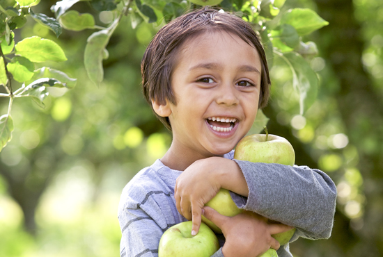 applejack festival nebraska city 2019