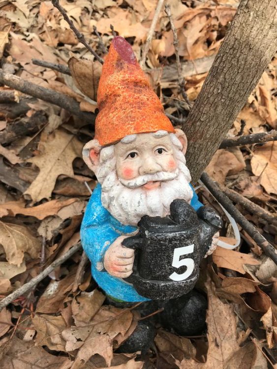 Gnome Hunt at the Tree Adventure