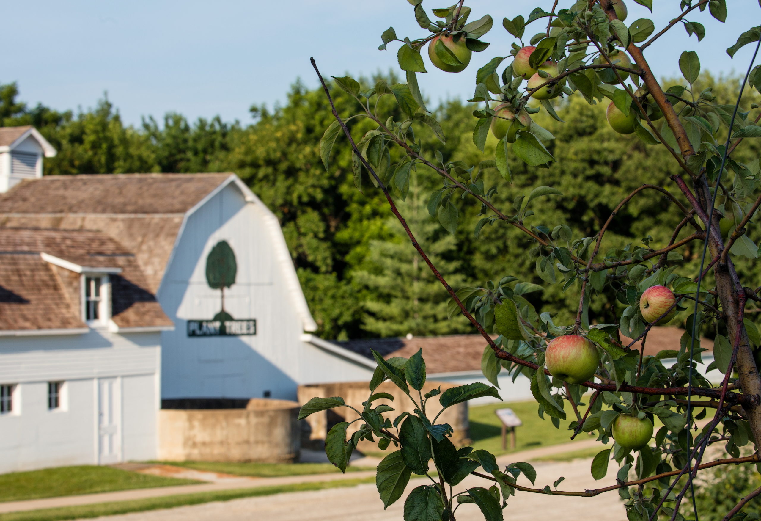 ne city applejack festival